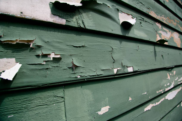 Recycling Services for Junk in Tainter Lake, WI